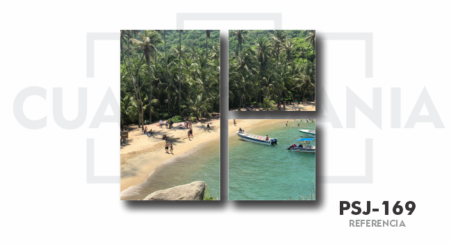 Tayrona Vivo